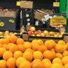 Апельсины – дешевле 3 рублей. В «Грошыках» рухнули цены