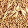 В Еврокомиссии решили ввести пошлины на зерно из РФ и РБ