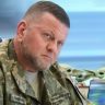 Бывшего главкома ВСУ Залужного согласовали на должность посла Украины в Великобритании