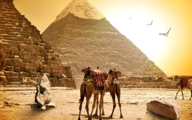 В Египет в прошлом году приехало рекордное количество туристов