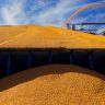 Правительство Турции не ведет переговоры по вопросам замены зерновой сделки