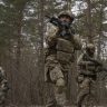 Правительство Эстонии может ввести собственную армию в Украину