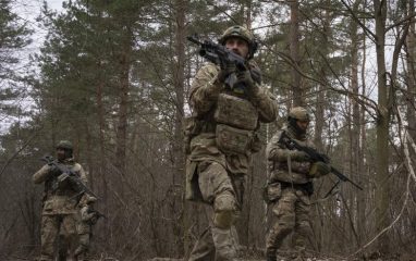 Правительство Эстонии может ввести собственную армию в Украину
