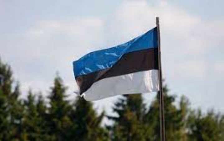 Эстонское правительство планирует отдавать Украине 0,25% ВВП страны
