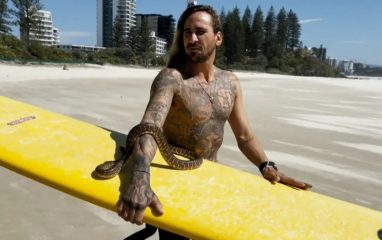 В Австралии мужчина получил штраф за серфинг с питоном на шее