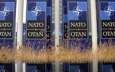 Для НАТО существует две «красные линии» в украинском конфликте