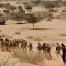 Власти США намерены вывести тысячу военных из Нигера