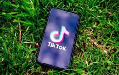 Власти Турции планируют существенно ограничить TikTok для защиты молодежи