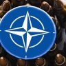 Глава МИД Швеции Билльстрем: в стране не разместят постоянные базы НАТО