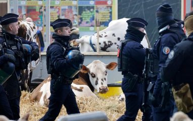 Во Франции протестующие фермеры атаковали местную полицию