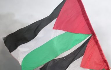 Власти Ирландии официально признали государственность Палестины
