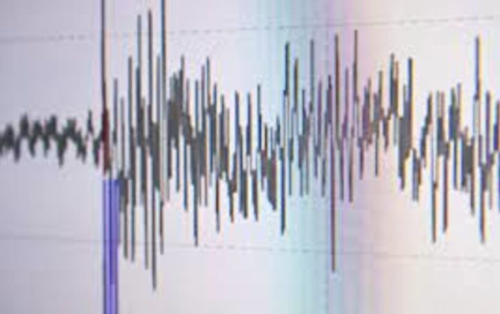 Мощное землетрясение зафиксировали в Казахстане