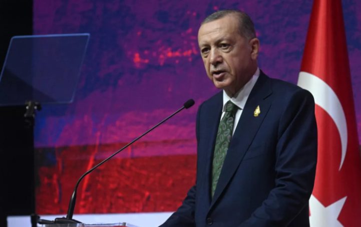 Эрдоган выступил с предложением увеличить объем поставок зерна из России в