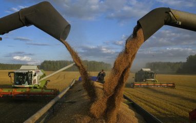 Украина перевозит зерно за рубеж рекордными темпами