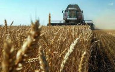 Власти Польши, Венгрии и Словакии бойкотируют платформу украинского зерна
