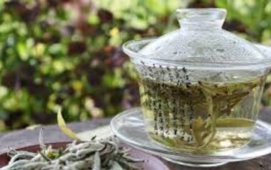 The Sun: зеленый чай назвали самым полезным для сердца напитком