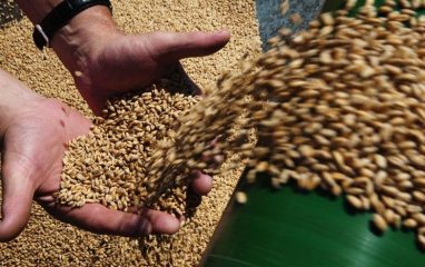 Власти Словакии и Украины договорились о поставках зерна