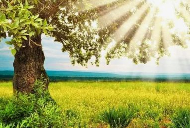 Встречайте летний день: Беларусь готовится к теплу до +28°С