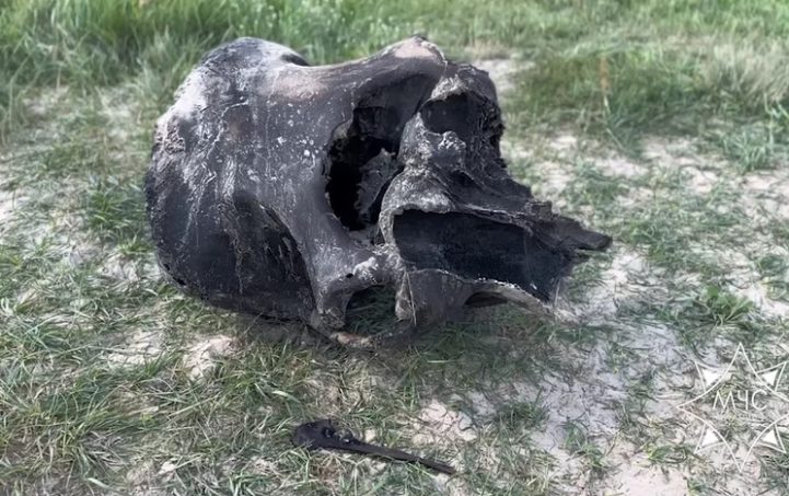 Спасатели из Гомеля нашли в реке останки мамонта