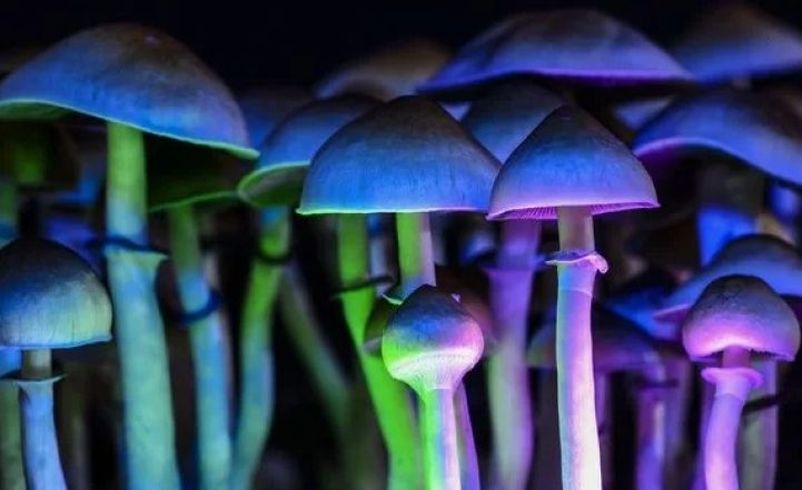 Вещество из 