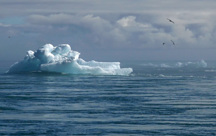 Арктика может стать источником смертельно опасных микробов