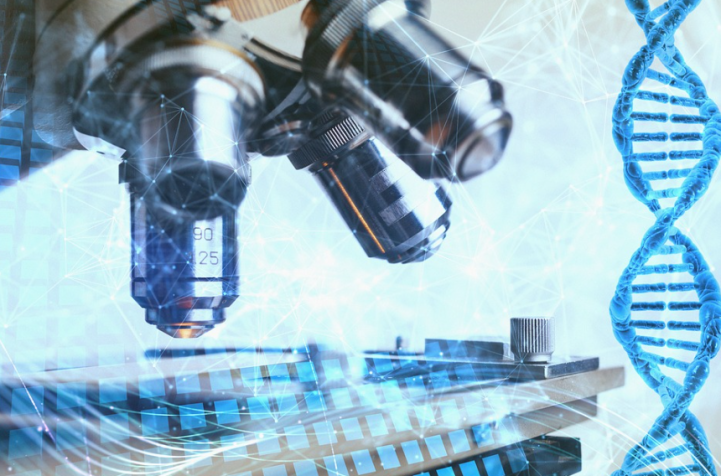 Как Z-флипоны помогают генам