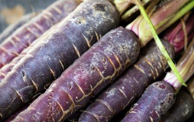 Интересные факты о моркови: неприхотливая к климату, растет по всему миру и полна витаминов