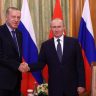 Эрдоган может встретиться с Путиным после переговоров с Зеленским