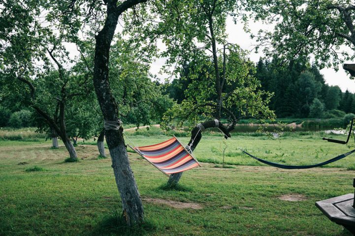 Простыми словами о новом порядке регистрации земли в Беларуси