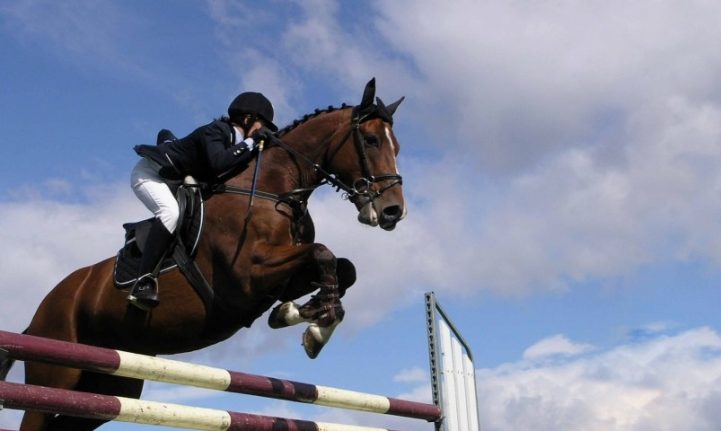 Белорусские всадники завоевали 25 медалей на Кубке СНГ по троеборью в Ратомке