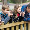 В школах Нидерландов запретили использование мобильных телефонов