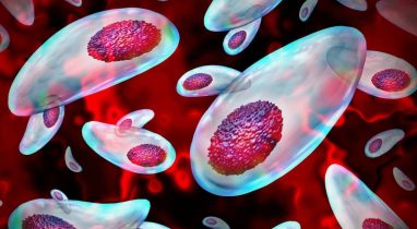 Токсоплазма атакует сперматозоиды: как паразит угрожает мужской фертильности