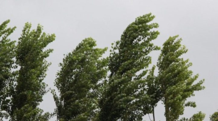 Ветер разгоняется до 24 м/с и грозит падением деревьев в Беларуси