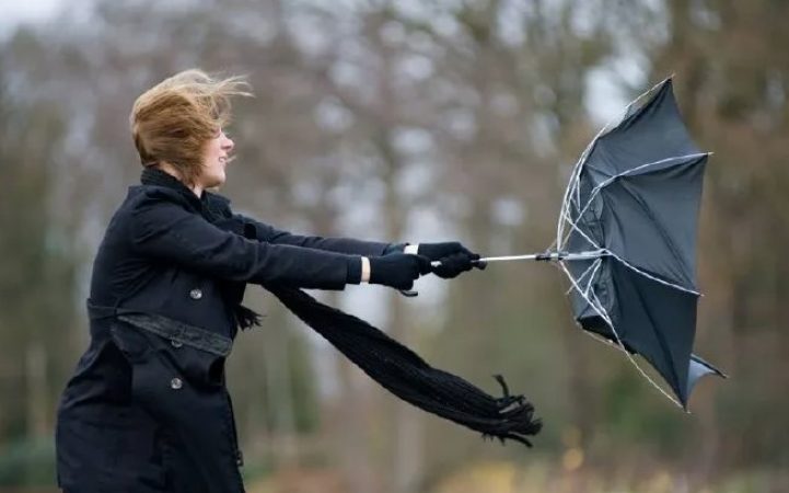 Ветер усиливается на востоке Беларуси: МЧС предупреждает об опасностях