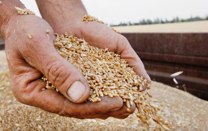 Запрет на импорт украинского зерна