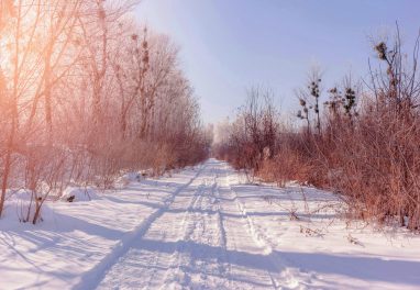 Зіма здае пазіцыі: ад лютаўскіх маразоў да ранняй вясны